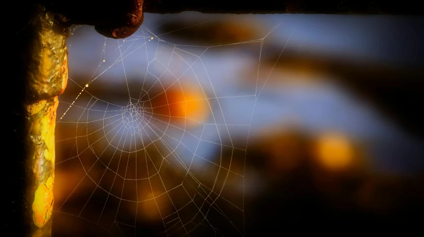 an abstract image of a spider web in the sky