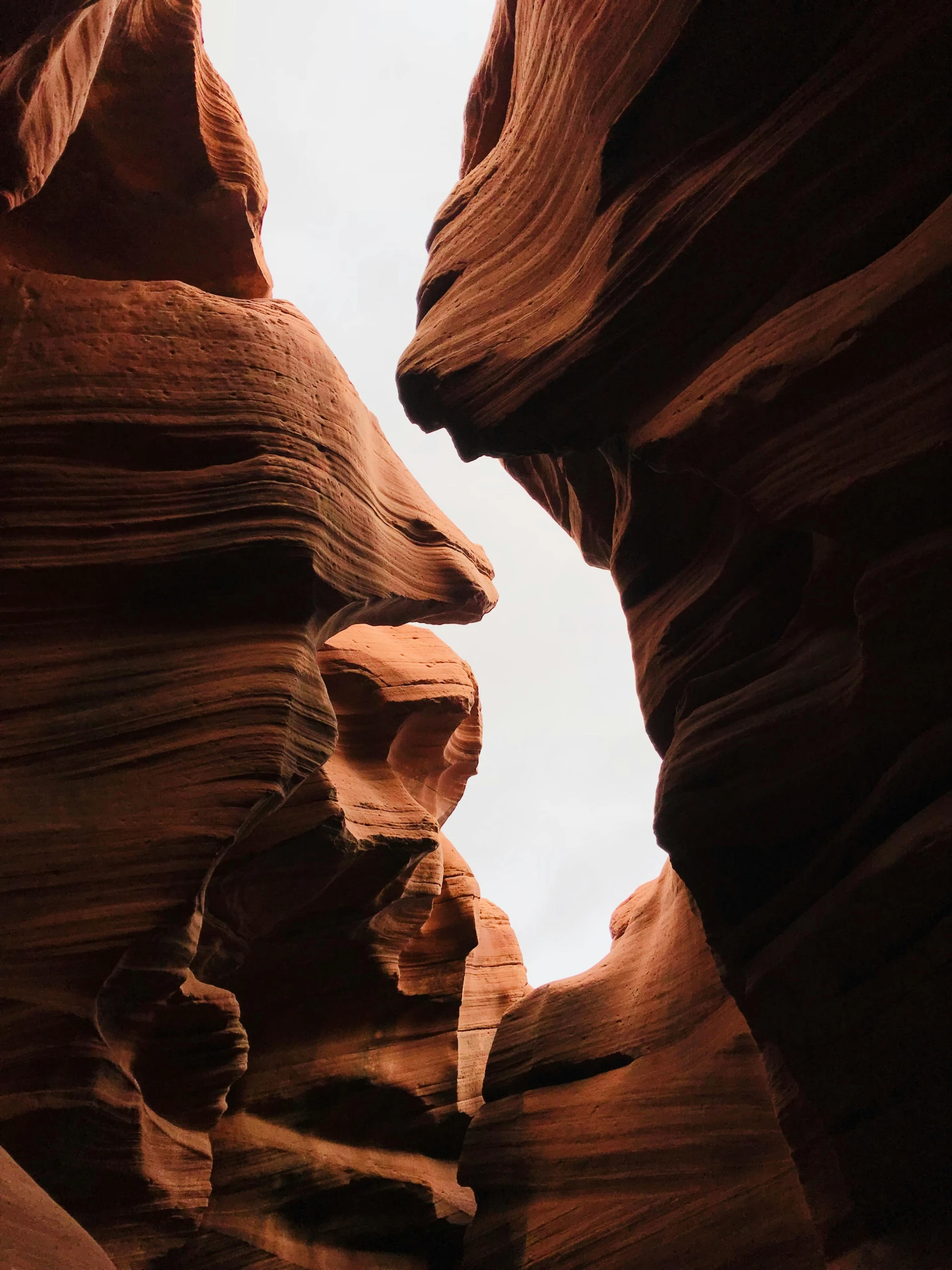 the lower part of a desert is made up of rock formations