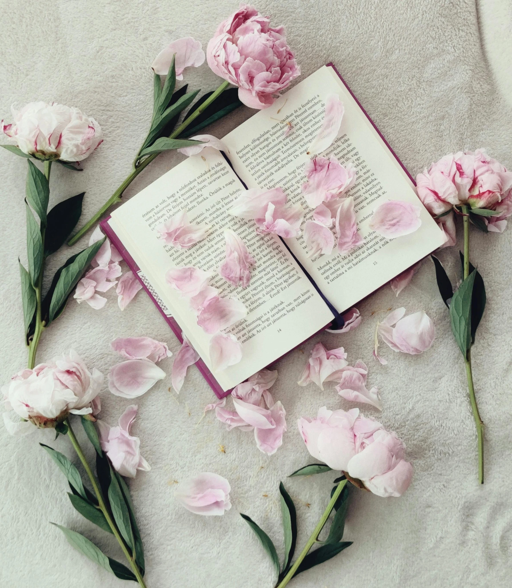 pink flowers are on a white sheet and a open book