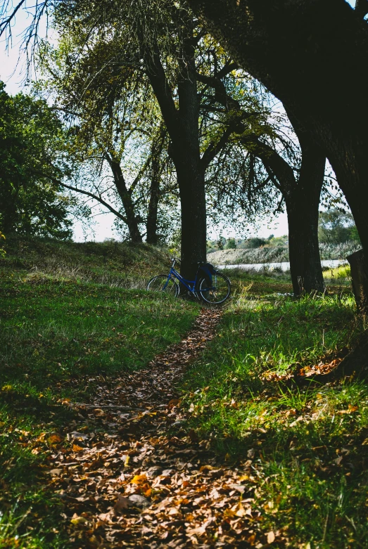 a blue fire hydrant in the middle of a forest