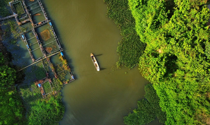 a boat that is in the water next to some green trees