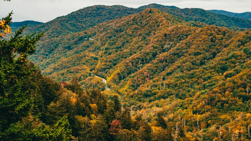 a view looking at the mountains in the distance