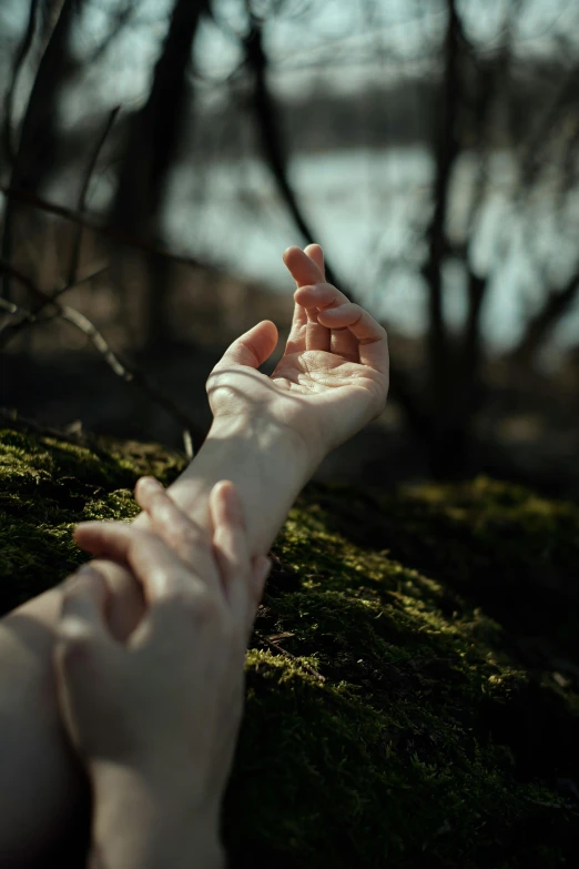 a person holds out their hand over the ground