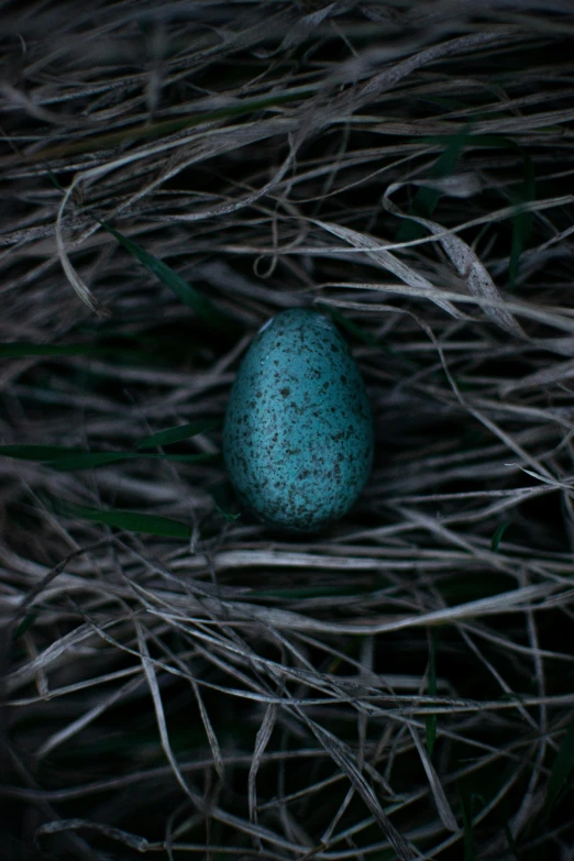 a blue egg sitting in a nest with twigs