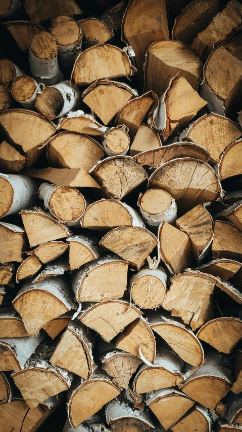 many wooden logs piled up together in a pile