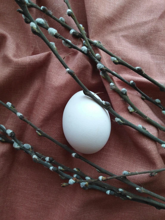 an egg is sitting on a brown cloth next to twigs