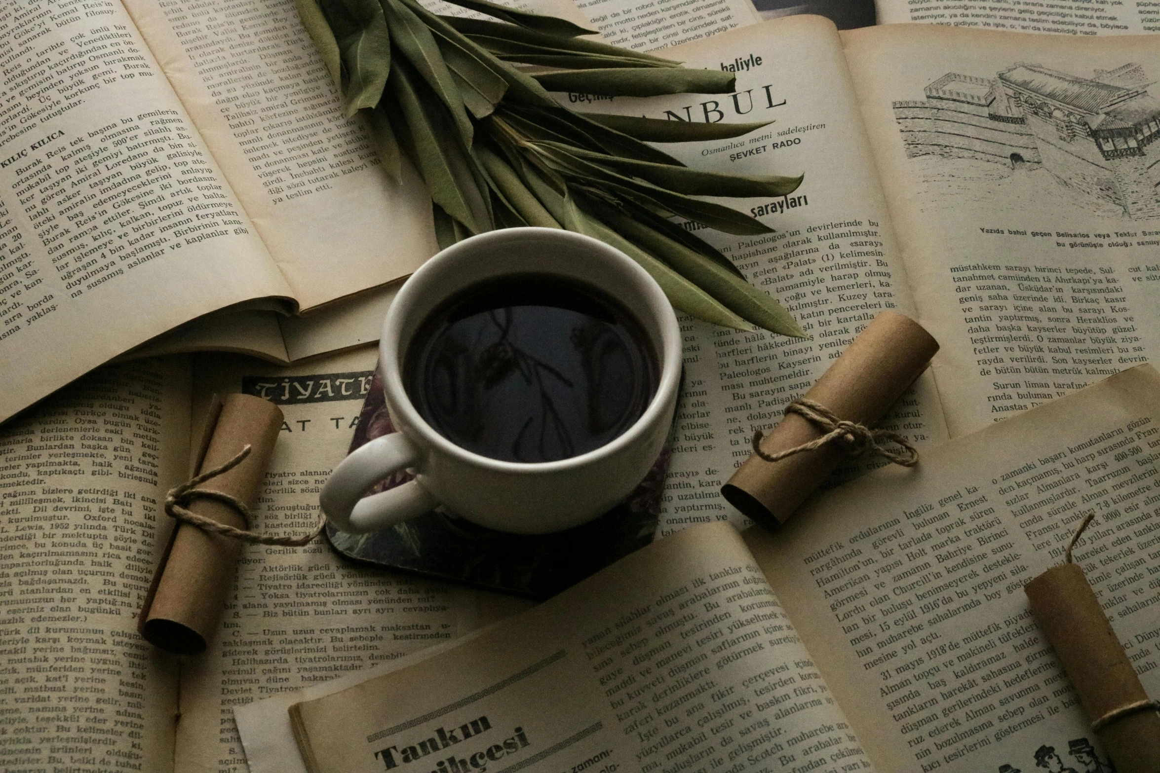 a cup of coffee sits on an open book next to rolled up papers