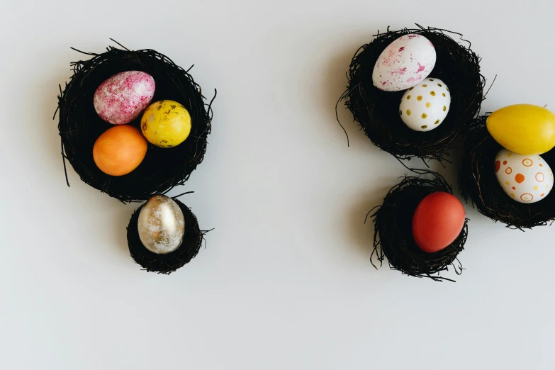 an arrangement of eggs in small black nests on a white background