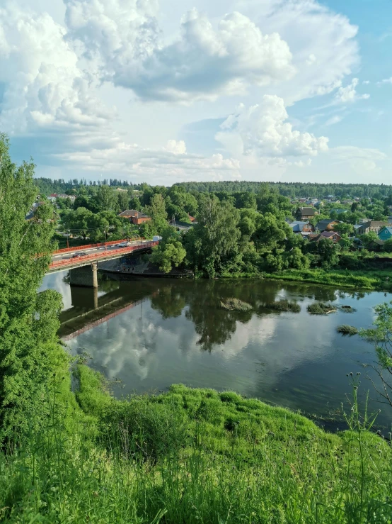 a bridge and walkway over a pond with lots of trees