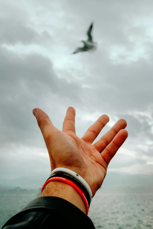 a hand in the air with a bird flying overhead