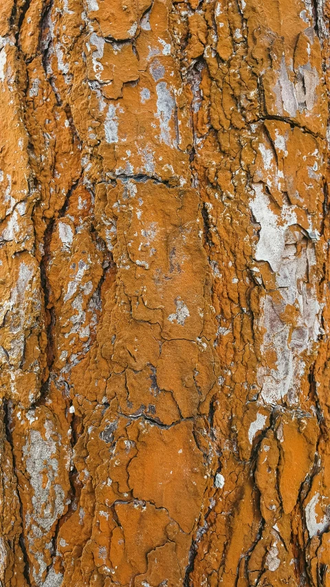 an orange surface has white streaks on it