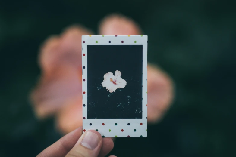 hand holding a camera with white flowers on it