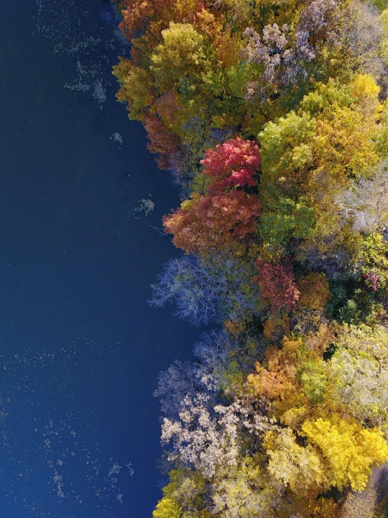 a lake that is surrounded by trees with blue sky