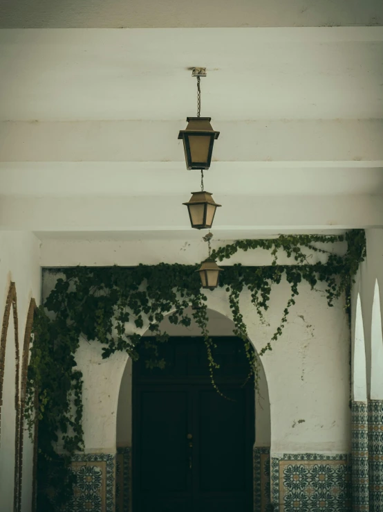 a hallway with ivy growing over the wall and an open door