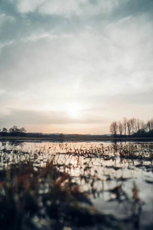 the setting sun reflecting on the water of a lake