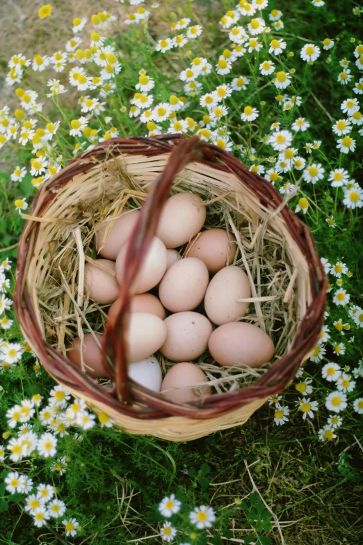 a basket filled with eggs sitting on top of a grass covered field