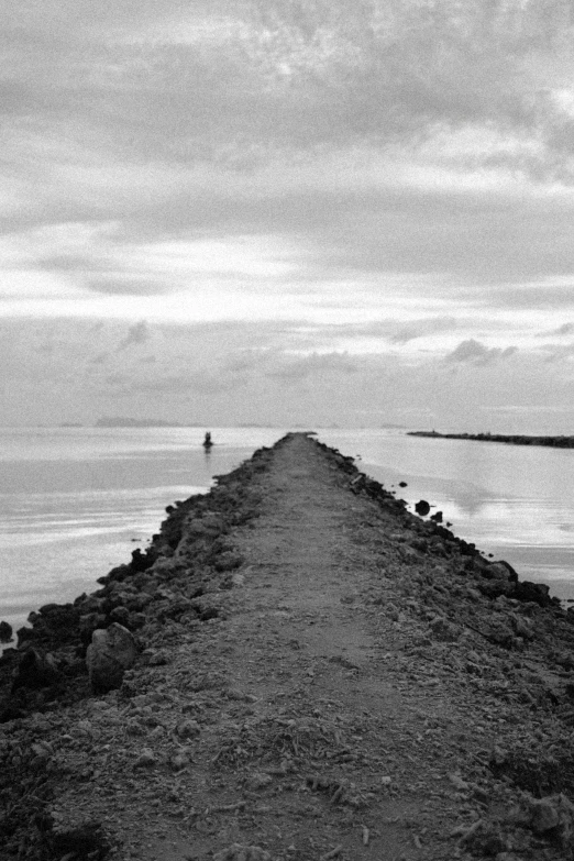 a person standing on a dock looking out to sea