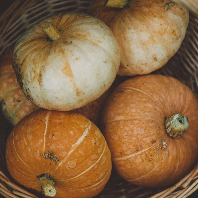 a basket of oranges with green and white on them