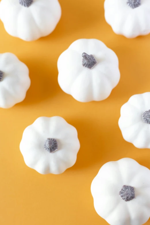 white frosted pumpkins placed next to each other