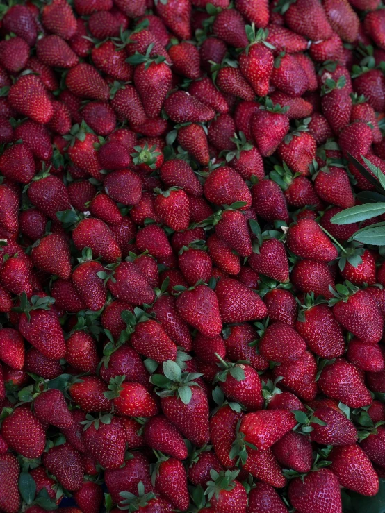 red berries with green stems on display in market