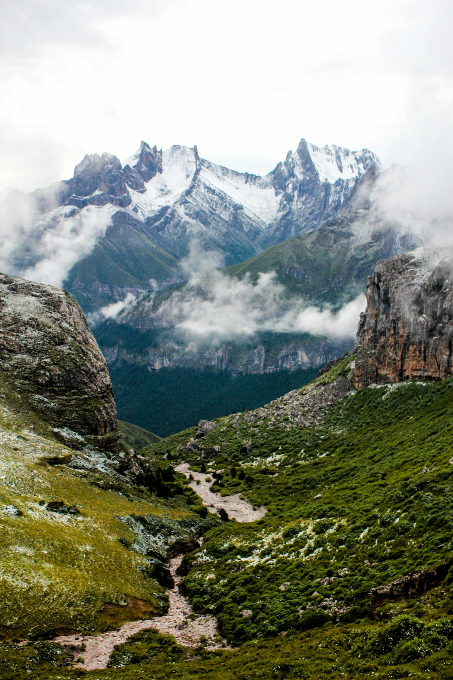 a view of a mountains valley surrounded by a forest