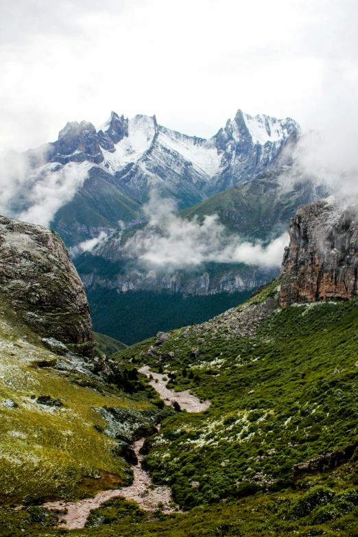 a view of a mountains valley surrounded by a forest