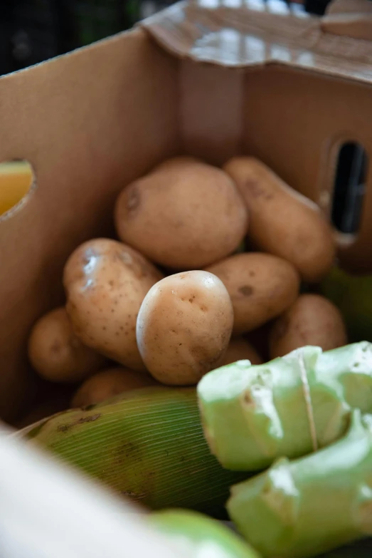 a box containing potatoes and oranges is shown