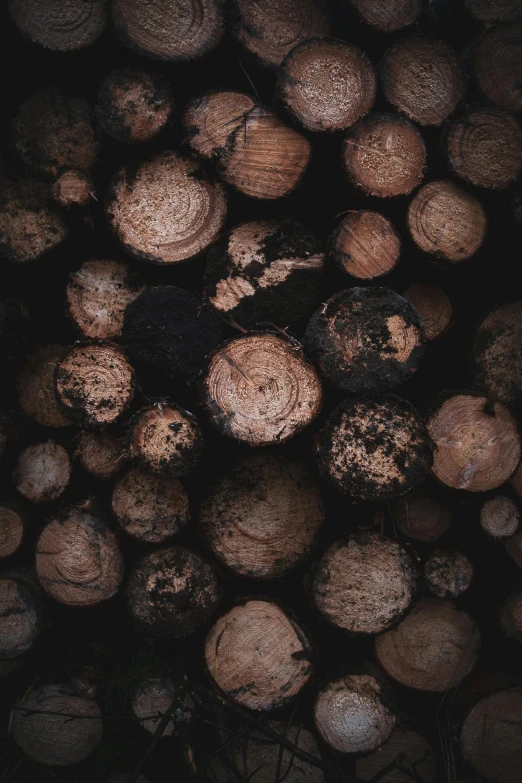 a pile of wooden logs stacked to the top