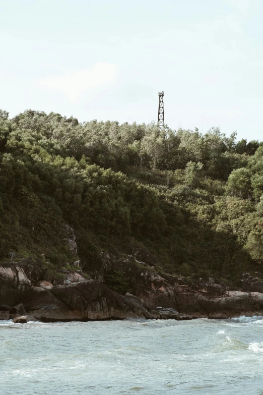 an animal standing on the edge of a hill overlooking water