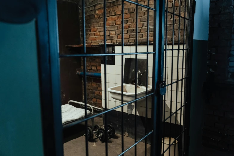 a  cell is seen with iron bars