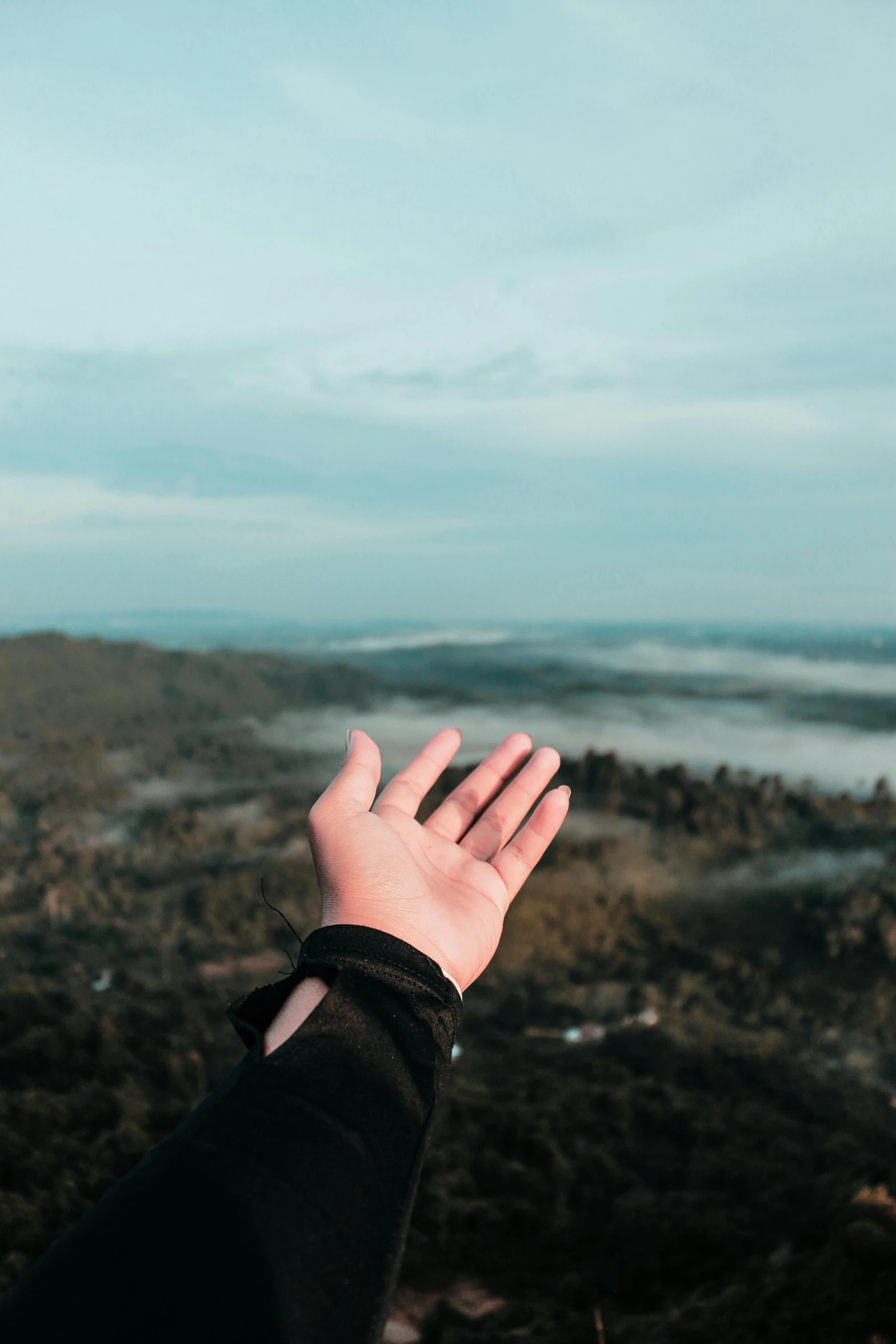 a persons arm outstretched to the camera near a forest