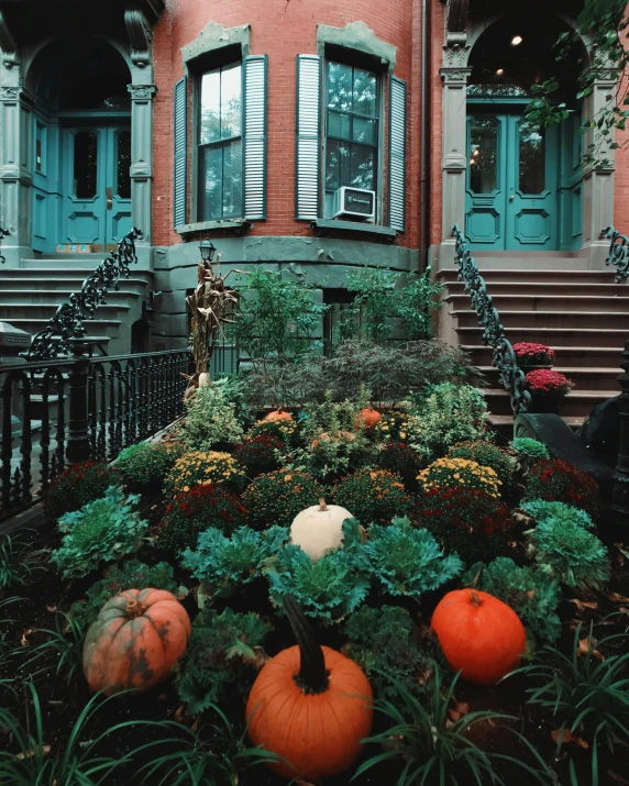 pumpkins and other plants around the garden