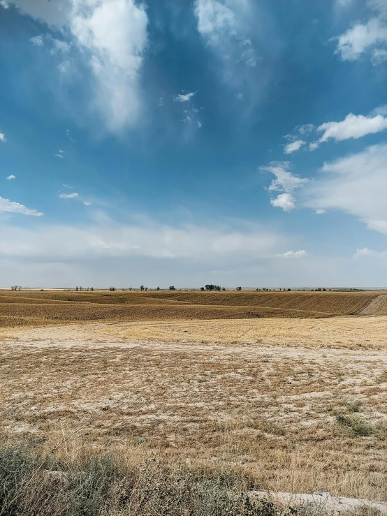 a field with trees in the distance and an open field to the side