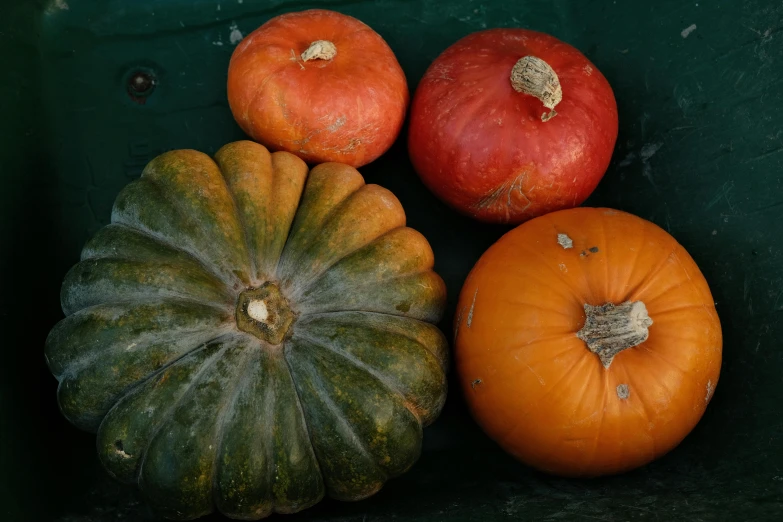 three squashons and one pumpkin placed side by side on a dark surface