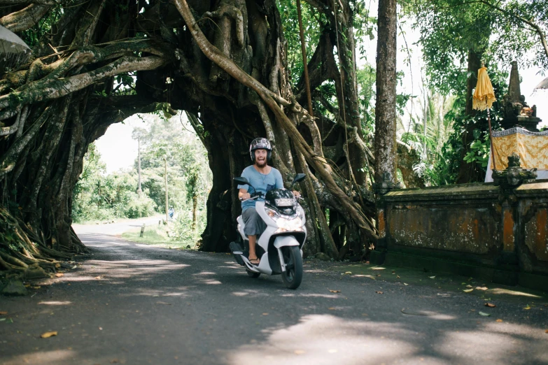 a person rides a motorcycle down the road past trees