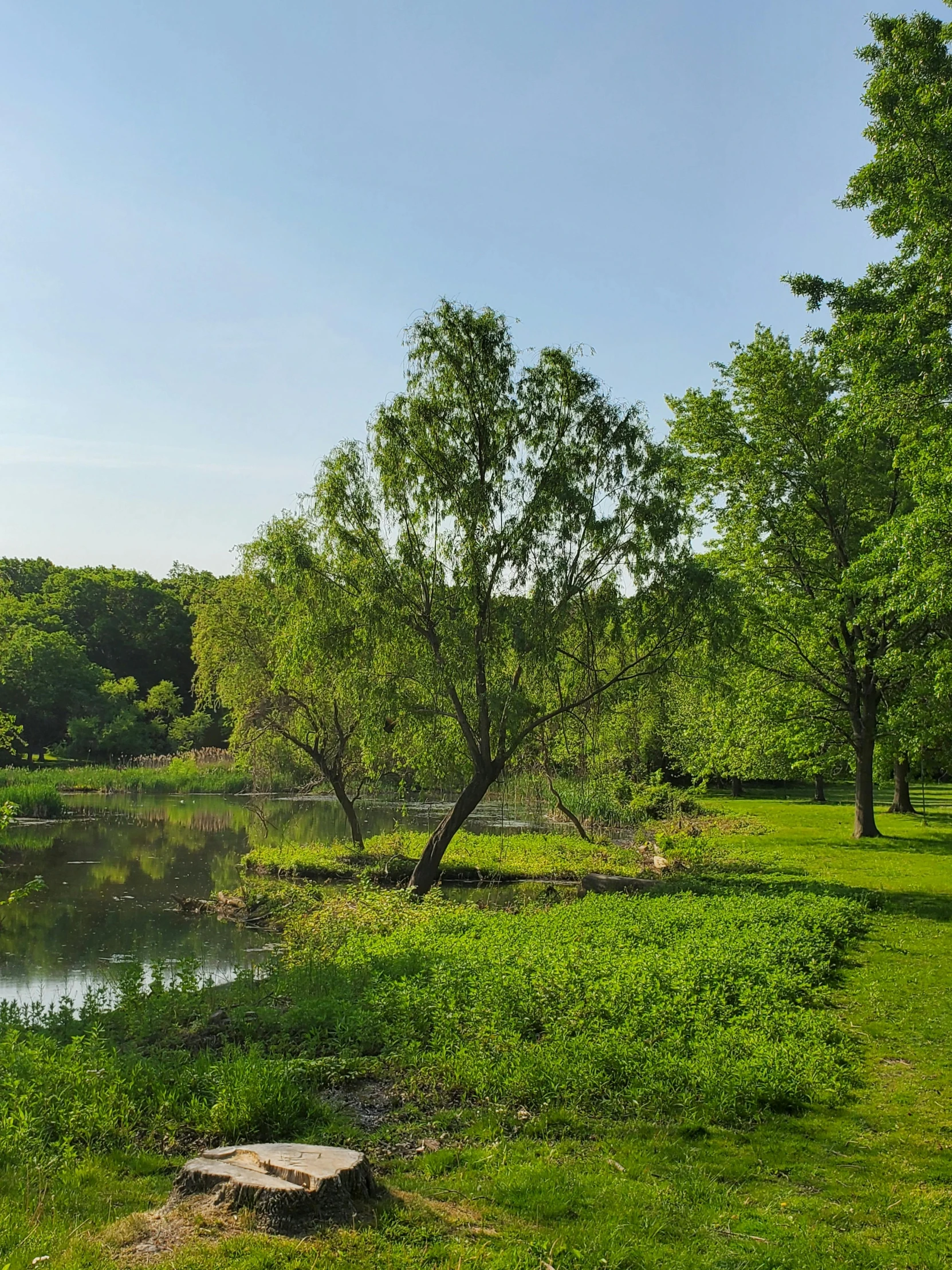 a park bench sitting on the side of a river