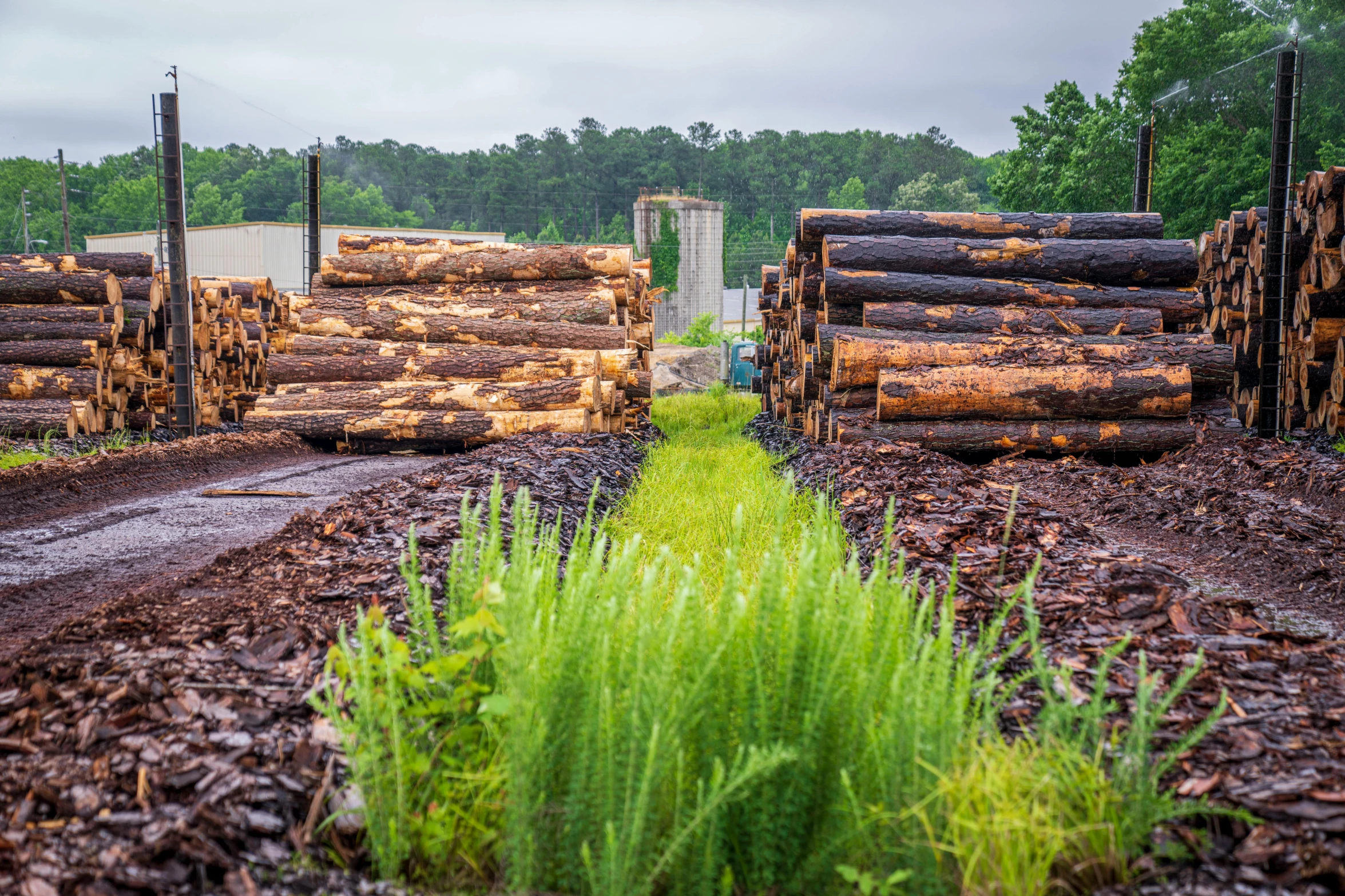 lots of logs are waiting to be loaded