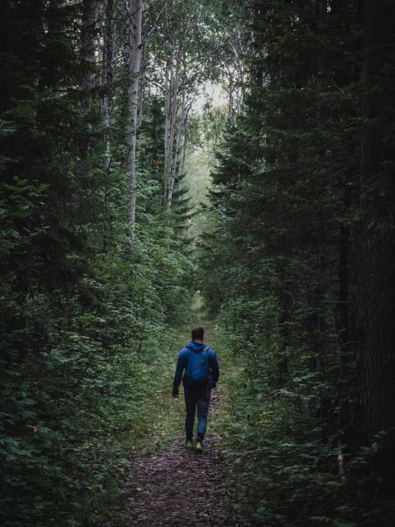 a man in a blue jacket walking down a forest path