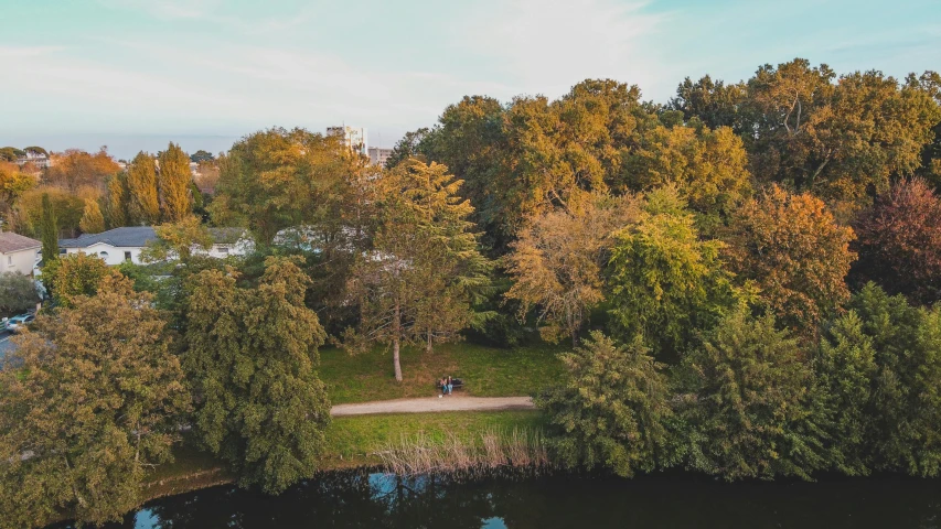 the trees near a lake are changing color