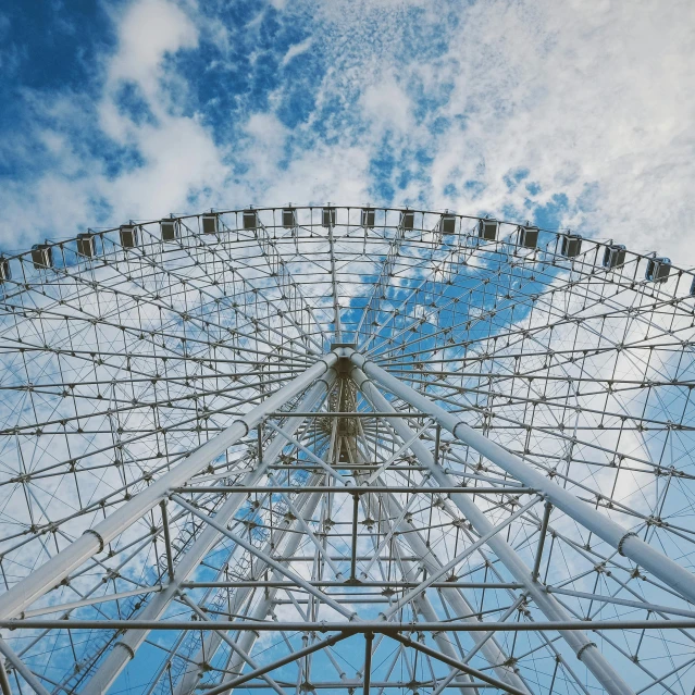 a ferris wheel is pictured in this pograph