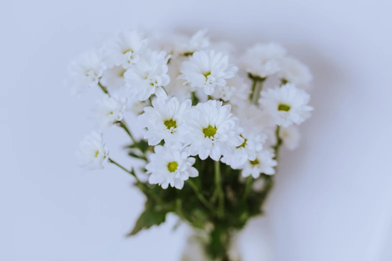 a vase with flowers sitting on a table