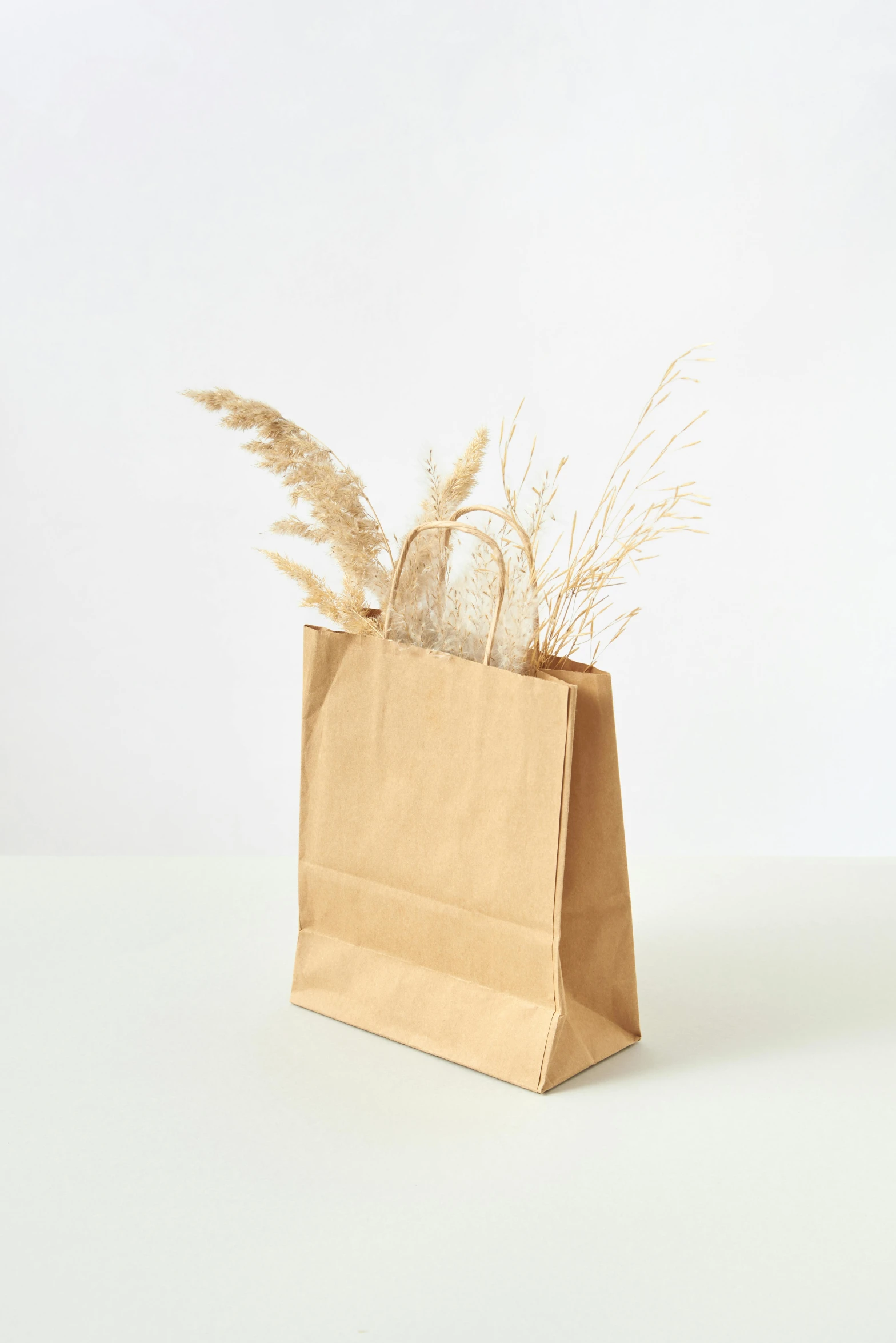 a brown paper bag with a plant sticking out of it