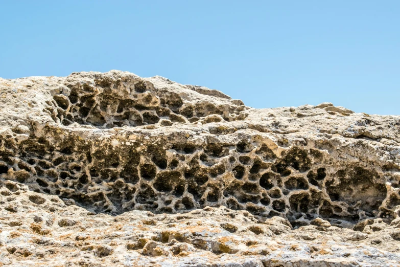 rocks and sand cover the ground while birds walk on them