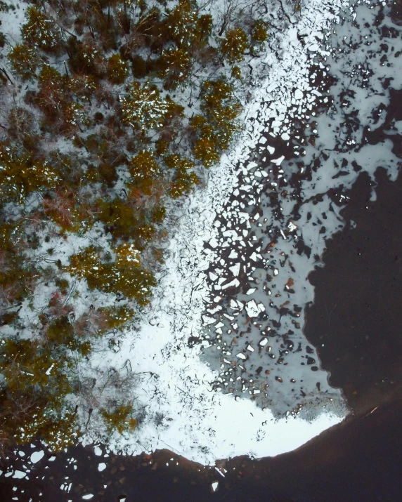 view from above looking down at snow, water and trees