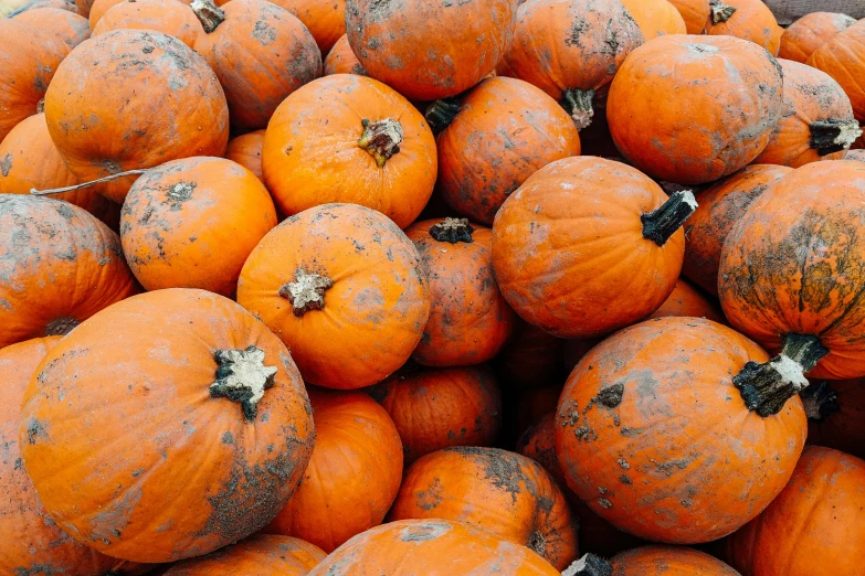 a pile of pumpkins stacked on top of each other