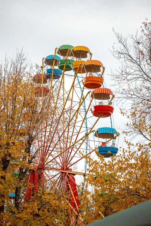 a ferris wheel outside during the day with lots of trees