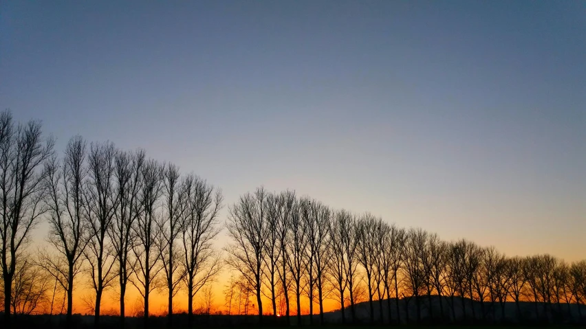 the sun rising behind silhouettes of trees and hills