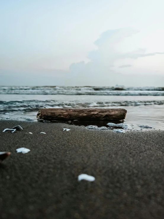 beach view with broken piece of driftwood in water