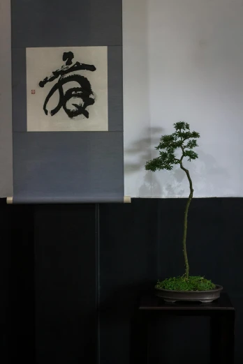 small, black, bonsai tree is on top of an end table with moss