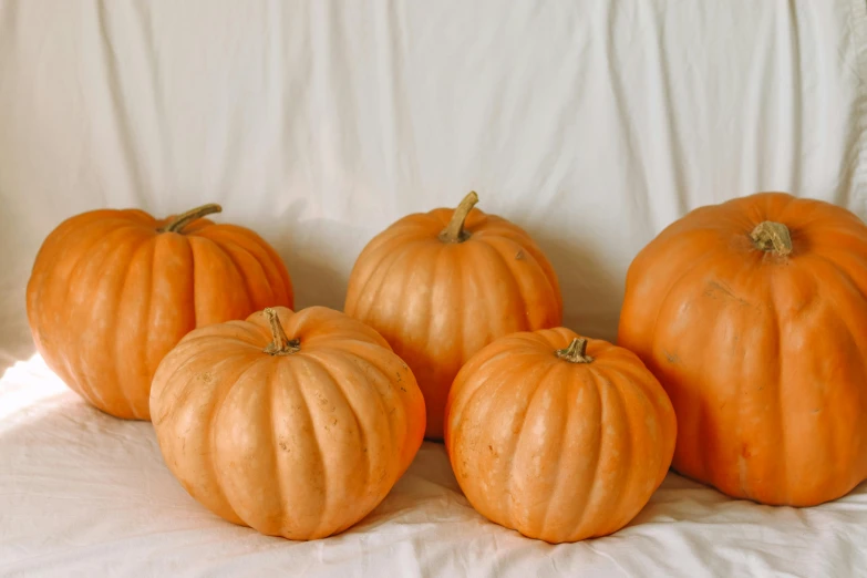 four pumpkins of varying sizes sitting on a white sheet